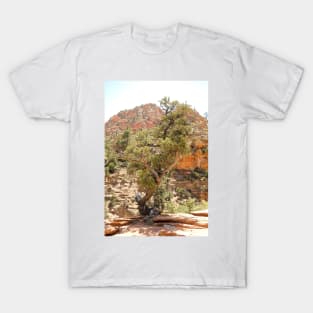 Zion Hike 1 View 1 T-Shirt